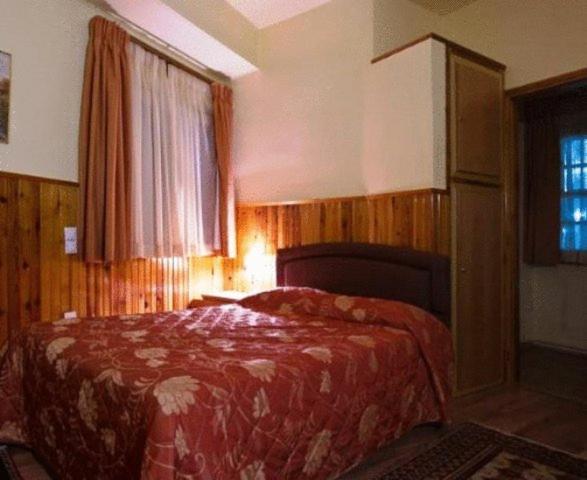 Hotel Bitouni Metsovo Buitenkant foto