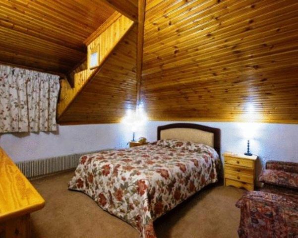 Hotel Bitouni Metsovo Buitenkant foto