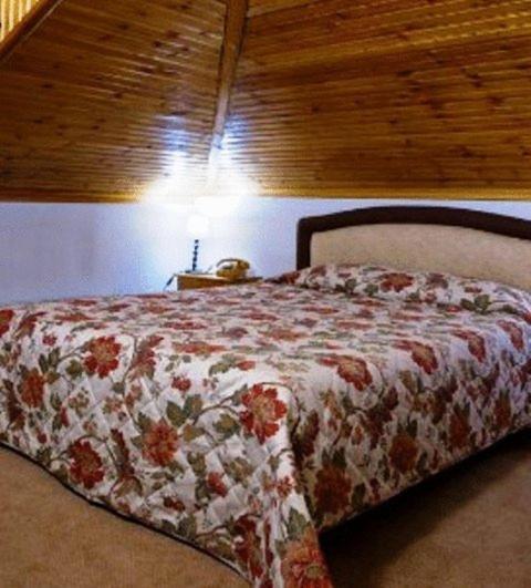 Hotel Bitouni Metsovo Kamer foto